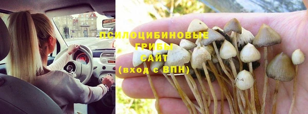 jwh Кострома