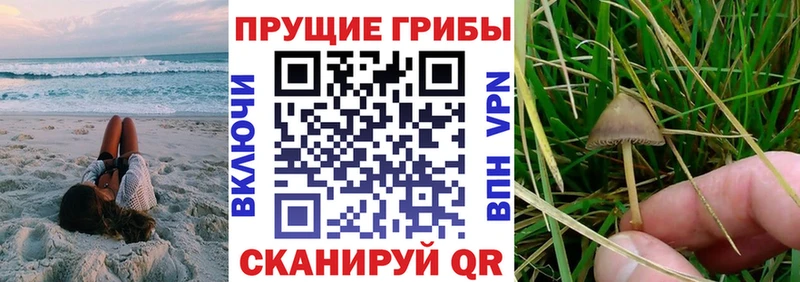 mega сайт  Верхняя Тура  Галлюциногенные грибы прущие грибы  что такое  